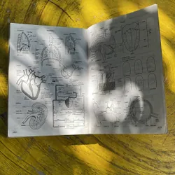 TỪ ĐÚNG - TỪ SAI CÁC TỪ VÀ CẤU TRÚC TIẾNG ANH THƯỜNG NHẦM LẪN KHI SỬ DỤNG- ALEXANDER 696132