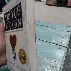 Trí Tuệ Xúc Cảm" (Emotional Intelligence) của tác giả Daniel Goleman.
 703819