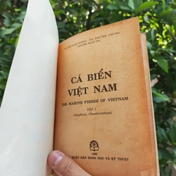 Cá Biển Việt Nam - The Marine Fishes Of VietNam - Tập 1 526446