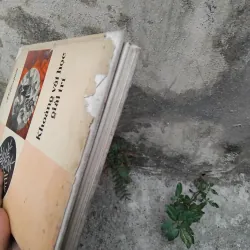 Khoáng vật học giải trí của Fecxman  1025088