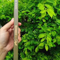 Romeo và Tuyết tự truyện của Jerry White 1000247