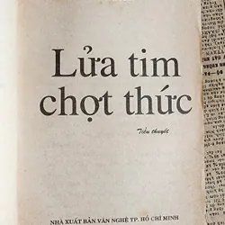 Tiểu thuyết LỬA TIM CHỢT THỨC (Hoài Anh) 707028