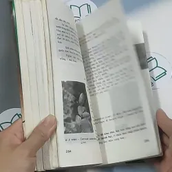 Bonsai: Cây dáng, thế và non bộ - Đỗ Hiệp 694948