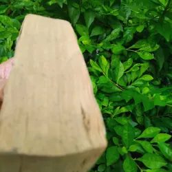 Fire in the lake của Frances Fitzgerrald  1001282