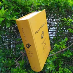 Sáng tạo và giao lưu của GS Phạm Vĩnh Cư 972237