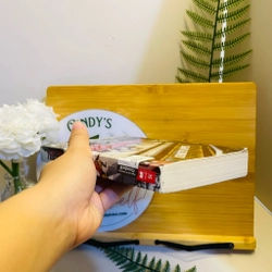 [Sách tiếng Anh 2hand] Like new 90% - The Boundless - Kenneth Oppel 494112