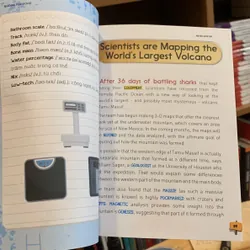 Never Give Up - The Wanderers  719569