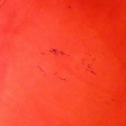 Túi Louis Vuitton Damier Saleya PM N51183 616823