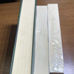 Mockingjay, Catching fire, The ballad of songbirds and snakes Suzanne Collins 473122