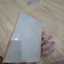 Trung quốc và việc giải quyết cuộc chiến tranh Đông Dương lần thứ I 1029532