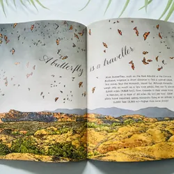 A Butterfly Is Patient – Dianna Hutts Aston & Sylvia Long 690108