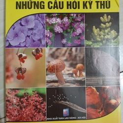 Những câu hỏi kỳ thú KỲ QUAN THẾ GIỚI THỰC VẬT 323610