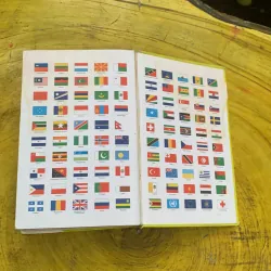 DICTIONNAIRE LE ROBERT  BENJAMIN CP-CE 6.8 ans & JUNIOR 8/11 ans  CE-CM ILLUSSTRE 747358