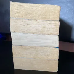 Tử Thư Tây Hạ full 5 tập  740596