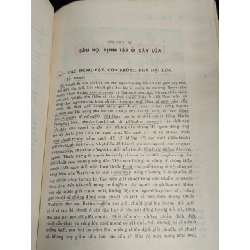 Kỹ thuật trồng lúa cải thiện - Tôn Thất Trình 378188