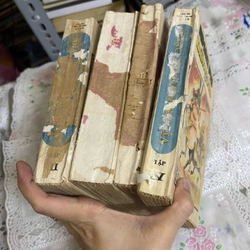 Nhạc phi diễn nghĩa  503561