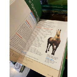 Discovering Our Past: A History of the World 1010090