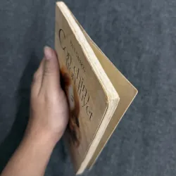 Con chim trốn tuyết - Paul Gallico 789679