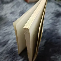 Tập thơ tưởng niệm thi sĩ Bùi Giáng 739844