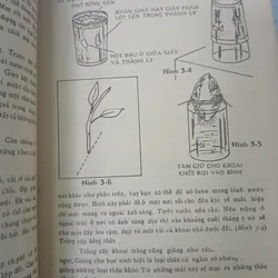 DẠY KHOA HỌC CĂN BẢN - RITA LANGLEY 735328