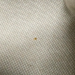 Túi JIMMY CHOO PIMLICOSD00 618285