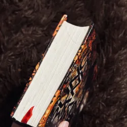 Rừng xanh lá đỏ 1001641