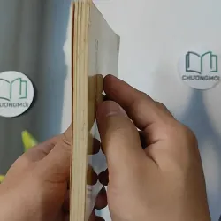 Hồ Xuân Hương - Tác giả và tác phẩm văn học dành cho học sinh tham khảo - Nguyễn Bích Thuận biên soạn 798327