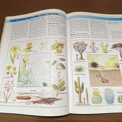 Khám phá thế giới Bách khoa toàn thư dành cho các trẻ em 7 - 10 tuổi 357841