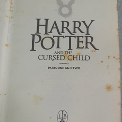 HARRY POTTER AND THE CURSED CHILD 199615