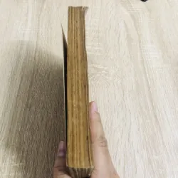 VIỆT NAM PHONG TỤC ( Phan Kế Bính) 957289