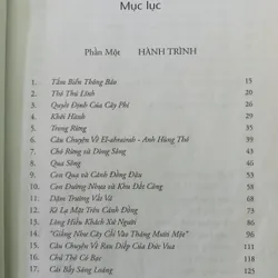 Đồi thỏ    589112