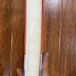 Người lữ hành kỳ dị  (t4) 455455