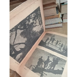 Tìm hiểu dân ca Nam Bộ - Lư Nhất Vũ, Lê Giang 747823