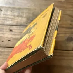 Vasilisa the Beautiful - Russian Fairy Tales 730884