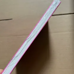 Anh em nhà Motohashi 1 990250