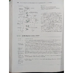 The Nurse Pharmacology And Drug Therapy 937543