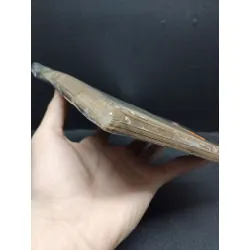 Theo dấu vết ruồi trâu Taratura mới 80% trầy gáy bẩn bìa HCM0806 văn học 692781