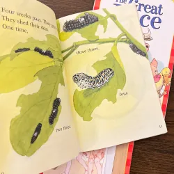 ✨𝑺𝒄𝒉𝒐𝒍𝒂𝒔𝒕𝒊𝒄 𝑹𝒆𝒂𝒅𝒆𝒓 3-𝑩𝒐𝒐𝒌 𝑺𝒆𝒕 (𝑳𝒆𝒗𝒆𝒍 2)✨ 780771