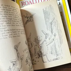 ✨𝑹𝒐𝒂𝒍𝒅 𝑫𝒂𝒍𝒉 7-𝑩𝒐𝒐𝒌 𝑺𝒆𝒕✨ 755740