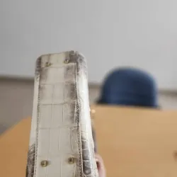 túi da cá sấu bạch tạng, da cá sấu thật 994243