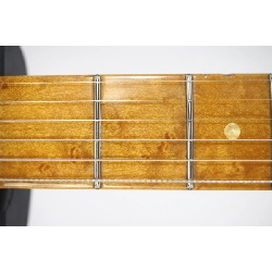 FENDER CUSTOM SHOP ARTISAN FIG ROSEWOOD ST - Hàng hiệu Authentic 885008