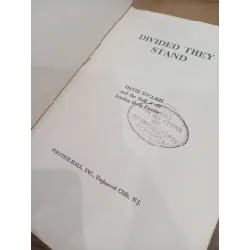 Divided they stand - David English 598304