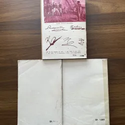 Mối tình đầu của Naopoléon - Annemarie Selinko 989848