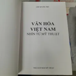 VĂN HÓA VIỆT NAM NHÌN TỪ MỸ THUẬT - CHU QUANG TRỨ 466111