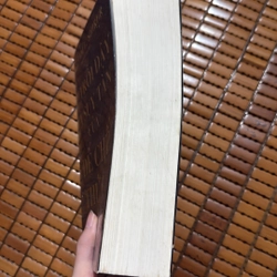 Sự trỗi dậy và suy tàn của đế chế thứ ba lịch sử Đức Quốc Xã 507817