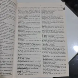 Từ điển Tiếng Việt 994123