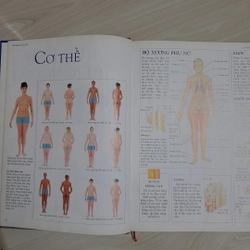 Cơ thể nữ giới 323998