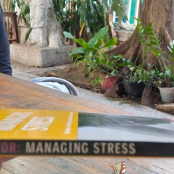 Thuật Quản lý Áp lực - Managing Stress cải thiện sức khoẻ (giá eBay 1500K, bán 399k) 524875