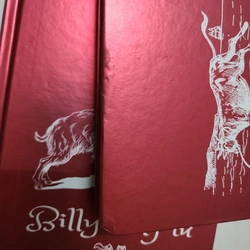 Bộ 2 quyển Billy của Kẹp hạt dẻ 525239