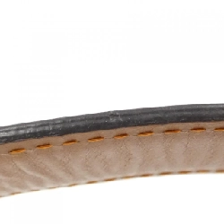 Túi đeo vai Louis Vuitton Monogram (Catgram) Twist M44408 613691